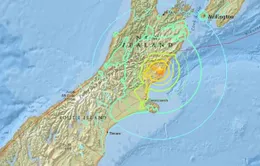 New Zealand rung chuyển bởi trận động đất 7.4 độ richter