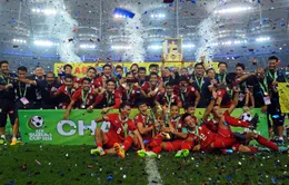 AFF Suzuki Cup 2014: ĐT Việt Nam dừng bước tại bán kết