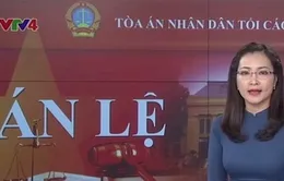 Lần đầu tiên Việt Nam áp dụng án lệ