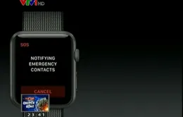 Apple Watch được nâng cấp thành vòng tay y tế