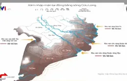 Người dân ĐBSCL túng quẫn vì nước sinh hoạt mặn hơn nước muối