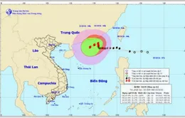 Bão số 6 diễn biến khó lường, gió giật cấp 12, biển động dữ dội