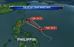 Ngày 31/7, tâm bão nằm trên vùng biển phía Đông Bắc đảo Luzon, Philippines