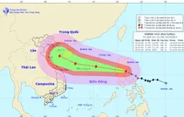 Bão Sarika có khả năng vào Biển Đông, ngày càng mạnh lên, di chuyển nhanh