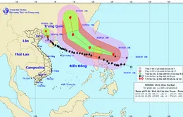 Bão số 7 suy yếu thành áp thấp, siêu bão Haima gần Biển Đông