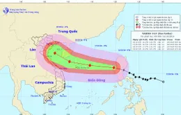 Bão Sarika vào Biển Đông trở thành cơn bão số 7