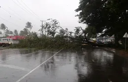 Siêu bão Winston gây thiệt hại nặng nề tại Fiji