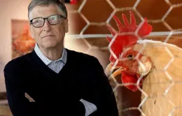 Tỷ phú Bill Gates tặng 100.000 con gà cho các nước nghèo