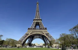 Công viên trước tháp Eiffel tạm thời đóng cửa để đặt bẫy diệt chuột