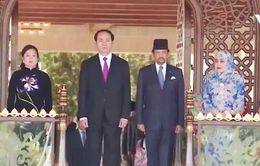 Tăng cường mối quan hệ hữu nghị Việt Nam - Brunei