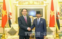 Tuyên bố chung Việt Nam - Brunei Darussalam