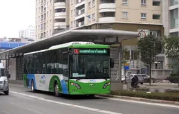 Lắp dải phân cách cứng cho làn bus nhanh BRT: Nhiều ý kiến trái chiều