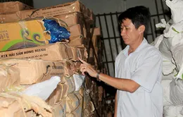 Hà Tĩnh tìm phương án tiêu hủy hơn 8 tấn cá đông lạnh nhiễm chất độc cadimi