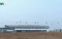 Tước giấy phép kiểm soát viên không lưu của 2 nhân viên ở Cát Bi