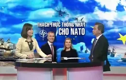 "Mỹ không thể xem nhẹ hoặc xóa bỏ NATO"