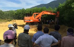 Bộ TN&MT: Di dời lượng bùn thải của Formosa ra khỏi rừng tràm Hà Tĩnh ngay lập tức