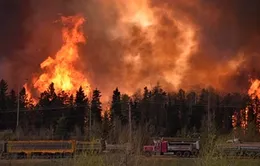 Canada: Cháy rừng tiếp tục hoành hành tại miền Nam Fort McMurray