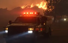 Mỹ: Hàng trăm cư dân sơ tán vì cháy rừng tại California