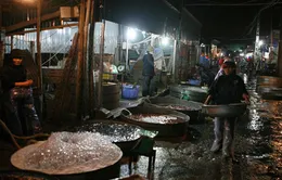 Bạc Liêu: Nhiều chợ tiền tỷ bị bỏ hoang