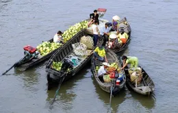 Cần Thơ xuất hiện nạn “chặt chém” du khách không thương tiếc