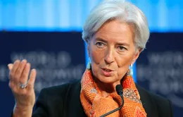 Tổng Giám đốc IMF hầu tòa do tắc trách