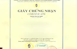 Ngang nhiên mua bán chứng nhận VietGAP trái phép