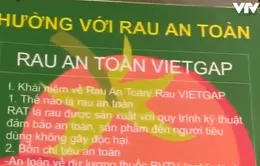 Bộ NN&PTNT phản hồi về tình trạng bán chứng nhận VietGAP