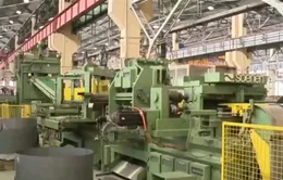 Chỉ gần 100 DN cơ khí có quy mô vốn hơn 500 tỷ đồng