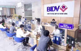 Bộ Tài chính quyết thu cổ tức tiền mặt tại BIDV, VietinBank