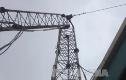 Hà Nội: Cột thu phát sóng đổ gục, một người chết