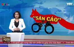 Với chiến dịch "Săn cáo", Trung Quốc quyết truy tìm quan tham ở nước ngoài