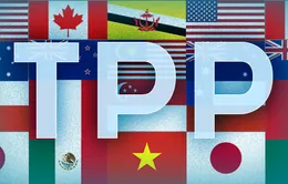 Malaysia đề xuất phương án duy trì TPP