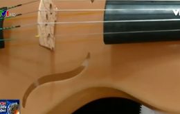 Đàn violin làm từ… tơ nhện