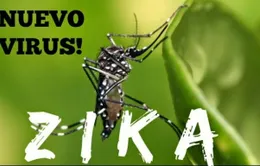 Bộ Y tế khuyến cáo không chủ quan với bệnh do virus Zika lây truyền