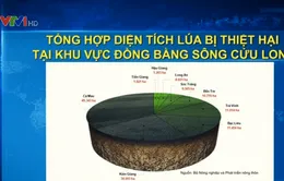 ĐBSCL thiệt hại trên 200 tỷ đồng do hạn, mặn