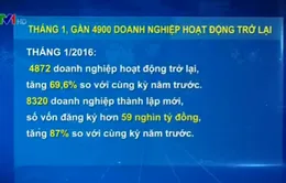 Tháng 1, gần 4.900 doanh nghiệp hoạt động trở lại