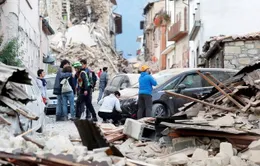 Italy lo ngại mafia nhúng tay tái thiết các vùng bị động đất