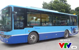 Xe bus nhanh không phải là phương tiện ưu tiên