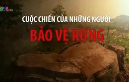 Những nguy hiểm rình rập khi làm kiểm lâm