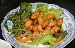 Đuông dừa miền Tây bày bán tràn lan tại TP.HCM