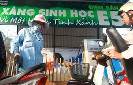 Gần 50% cửa hàng xăng dầu tại TP.HCM chưa bán xăng E5