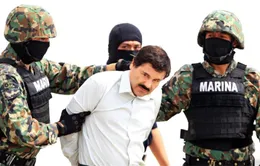 Vì sao trùm ma túy Mexico “El Chapo” Guzman bị bắt?