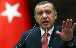 EU triệu hồi Đại sứ Thổ Nhĩ Kỳ sau tuyên bố của Tổng thống Erdogan