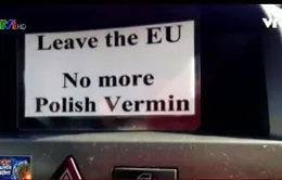 Lo ngại tình trạng kì thị người nhập cư tại Anh hậu Brexit