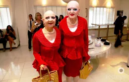 EVA & ADELE - Ẩn số trong làng nghệ thuật thế giới