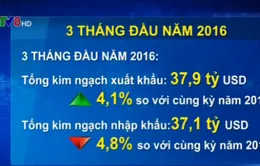 Nhiều doanh nghiệp FDI tại Việt Nam đầu tư mở rộng sản xuất