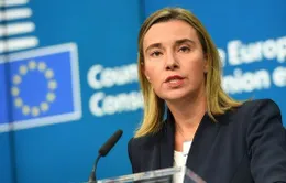 EU không ủng hộ lệnh trừng phạt mới chống Nga và Syria