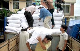 Hoàn thành cấp phát gạo đợt 2 tại các tỉnh miền Trung bị ảnh hưởng bởi sự cố môi trường