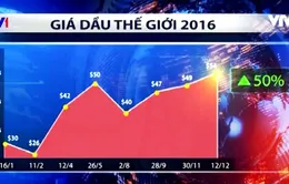 Diễn biến giá dầu 2016: Nhiều bất ngờ