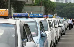 Giá xăng giảm, doanh nghiệp taxi buộc phải giảm giá cước